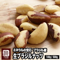 直輸入 ブラジルナッツ 無添加 無塩 生ナッツ 100g / 500g ブラジル産 ミネラル豊富 スーパーフード braz…