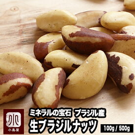直輸入 ブラジルナッツ 無添加 無塩 生ナッツ 100g / 500g ブラジル産 ミネラル豊富 スーパーフード brazilnuts 栄養満点 ブラジルナッツ1粒で健康や美容、ダイエットにお料理にも幅広く活用できます ナッツ専門店 上野 アメ横