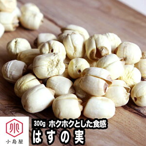 nX̎ 300g ͂̎ @̎ @q  V  Y  pH X  A