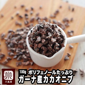 カカオニブ 100g ガーナ産ポリフェノールたっぷり ビターチョコ好きに余韻が残る香ばしさ バランスが取れた香り カカオ豆 スーパーフード ナッツ専門店 上野 アメ横