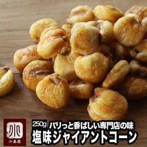ナッツ 専門店 の ジャイアントコーン 定番の塩味 250g 鮮度が良いのでパリっと香ばしい 毎月の船便で常に鮮度が良いのを仕入れています ジャイコーン お酒 ビール おつまみ 上野 アメ横