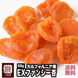 カルフォルニア産 EXファンシーあんず(アプリコット） 《500g》甘さ・酸味・香りのバランスに優れた杏です。杏の品揃えは日本一を誇る専門店です。砂糖不使用 ドライアプリコット ドライあんず あんず 宅急便送料無料