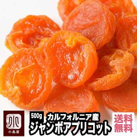 カルフォルニア産 ジャンボあんず(アプリコット） 《500g》最高峰の杏　甘さも香りも上品さも段違い。杏の品揃えは日本一を誇る専門店です。砂糖不使用 ドライアプリコット ドライあんず あんず ウイ好き 宅急便送料無料