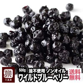 ノンオイル ワイルドブルーベリー 野生種 500g ノンオイル アメリカ産濃厚な甘み 油不使用だからさっぱりしたクリアーな上品な味わい ドライブルーベリー ブルーベリー 送料無料 ドライフルーツ 専門店 上野 アメ横