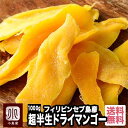 超半生 ドライマンゴー フィリピン産 1000gセブ島 ペリカンマンゴー カラバオ種 世界トップレベルの品種 現地農園視察しっとりとした果肉の食感とトロピカルな生感覚の旨みフィリピンマンゴー ドライフルーツ 専門店 上野 アメ横
