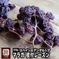 マラガ 枝付き レーズン 410g スペイン アンダルシア産 ノンオイル 砂糖不使用最高峰の味 ワイン 好きの…