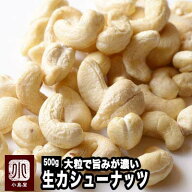 ナッツ 専門店 生カシューナッツ インド産 500g 無添加大粒でナッツの旨みが濃い上質なカシューナッツナ…