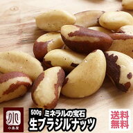直輸入 ブラジルナッツ 無添加 無塩 生ナッツ 500g ブラジル産 ミネラル豊富 スーパーフード brazilnuts …