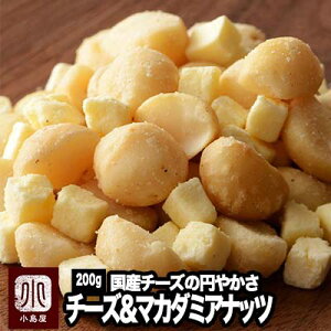 ibc X }J_~Aibc`[Y 200gY`[Y  ~₩Ȗ킢 ܂ XIWi{C̃}J_~A܂݃}Jf~A hC`[Y  C r[ 