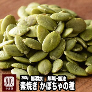 ibcX fĂ ڂ̎ 250g Y   El̃IWi  ΂ƊÂ݂o܂ X[p[t[h RXe[[ wV[ H pvLV