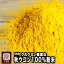 無添加 秋ウコン 粉末 インド産 1kg 本場 インド の クルクミン 豊富な極上 秋うこん を使用 スパイス専門の国内商社により国内にて滅菌 粉末加工 ウコン ターメリック スパイス 上野 アメ横