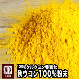 無添加　秋ウコン粉末（粉末状） 《1kg》本場インド産のクルクミン豊富な極上秋うこんを使用