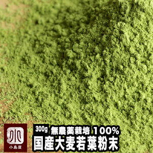 _ ͔| I 唞t 300g 䌧Y 100 YႭɂ唞̎t̉h{MƋl܂Ă܂݂₷ 唞t pE_[  X  A