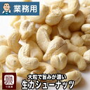 【業務用・卸販売】ナッツ 専門店 生カシューナッツ インド産 11.34kg 業務用バルク（箱単位）販売 無添加大粒でナッツの旨みが濃い上質なカシューナッツナッツ専門店の新鮮な カシューナッツ をお届けします無塩 無油 生 カシューナッツ 上野 アメ横