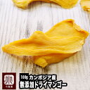 ＜今だけのお買い得セール＞ 無添加 店主が一番美味いと思う至極の カンボジア産 ドライマンゴー 100g 一番美味しい時期にとれたフレッシュな完熟マンゴーをドライに カンボジアマンゴー ドライマンゴー ドライフルーツ 半生 ジャパンフード マツコ 上野 アメ横