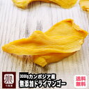 ＜今だけのお買い得セール＞ 無添加 店主が一番美味いと思う至極の カンボジア産 ドライマンゴー 3kg 一番美味しい時期にとれたフレッシュな完熟マンゴーをドライに カンボジアマンゴー ドライマンゴー ドライフルーツ 半生 ジャパンフード マツコ 上野 アメ横