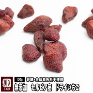 無添加 ドライいちご セルビア産 100g 砂糖不使用 添加物不使用合成着色料不使用りんご果汁で柔らかく仕…