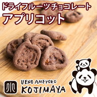 ドライアプリコットチョコレート 《150g》専門店のドライフルーツの味がしっかりするチョコレートをお試…