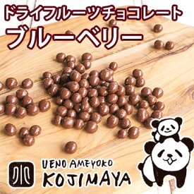 ワイルドブルーベリーチョコレート 《130g》 専門店のドライフルーツの味がしっかりするチョコレートをお試し下さい丸のままのドライフルーツをしっかりと使っています　ドライブルーベリー ドライフルーツチョコレート vata