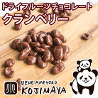 �����٥꡼���祳�졼�� ��170g������Ź�Υɥ饤�ե롼�Ĥ�̣�����ä��ꤹ����祳�졼�ȡ�