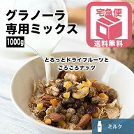 グラノーラ 専用 ドライフルーツ ＆ ナッツ ミックス 〜ミルクタイプ〜 1kg栄養たっぷり 牛乳と相性抜群 …
