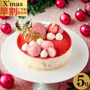 y \tzNX}XP[L ACXP[L x[Xgx[`[YpC 5(a15cm) ACXfR[V 2025 x'mas Xgx[    蕨 v[g christmas 