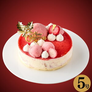 NX}XP[L ACXP[L x[Xgx[`[YpC 5(a15cm) ACXfR[V 2025 x'mas Xgx[    蕨 v[g christmas NX}XP[L 