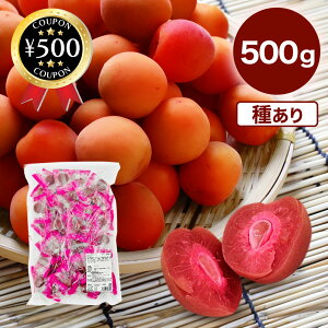 y󂠂/z JJ~ 500g   E ~ Î_ς  ⋋ sy hCu MǑ΍ e p  
