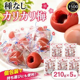 [楽天1位/送料無料]カリカリ梅 種なし 種とりカリカリ梅 210g×5袋セット 元祖カリカリ梅 梅 うめ うす塩 種なし 業務用サイズ 大容量 熱中症対策 塩分補給 個包装 赤城フーズ