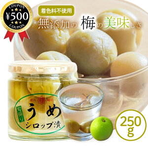 yr[500~offN[|z cX ԋj ߃VbvЂ 250g Y ~  쌧Y VbvЂ rl Ysgp ʎ J  [Og