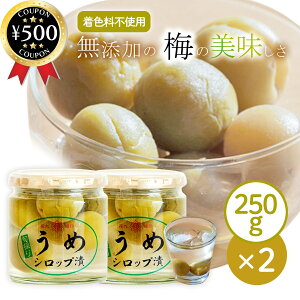 yr[500~offN[|z cX ԋj ߃VbvЂ 250g×2Zbg Y ~  쌧Y VbvЂ rl Ysgp ʎ J 