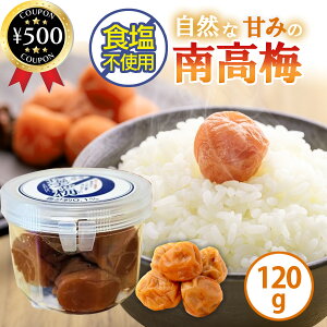 yr[500~offN[|z a̎R_Ƌg ~ 120g Y a̎RY IB ~ n 썂~ Ì т̂ aH ɂ ~Hi Hsgp 