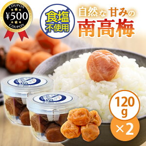 yr[500~offN[|z a̎R_Ƌg ~ 120g×2Zbg Y a̎RY IB ~ n 썂~ Ì т̂ aH ɂ Hsgp 