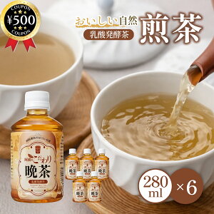 �y���r���[������500�~off�N�[�|���z �T���}�b�N ���g�̂������Ӓ� 280ml×6�{�Z�b�g PET �������Y ���Y���t ���_���y�� �m���J�t�F�C�� ���{�� ���Y�� ���� ���N ����