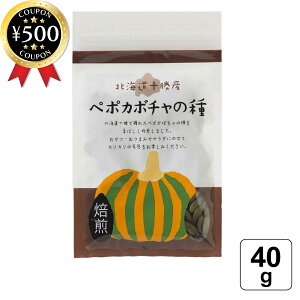 yr[500~offN[|z OWw y|J{`̎ 40g () _sgp kC\Y  ܂ ̂܂ T_ ڂ̎ J{`̎ N [Xg^