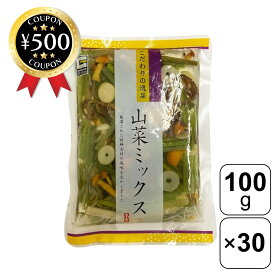 【レビュー書いて500円offクーポン】 源清田商事 水煮 山菜ミックス 100g×30袋 わらび 芋づる 細竹 なめこ きくらげ えのき茸 山菜ごはん そば うどん 和え物 業務用 大容量 食品 レトルト まとめ買い 煮物 簡単 便利 おすすめ