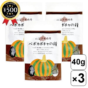 yr[500~offN[|z OWw kC\Y y|J{`̎  40g×3Zbg y|J{`  [Xg _sgp ڂ̃^l XibN gbsO