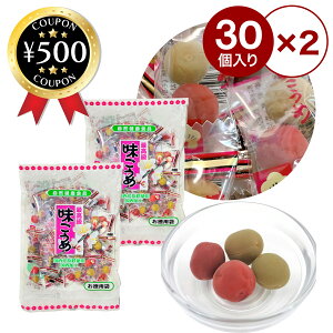 [r[e500~OFFN[|i撆] _Ch[  30×2܃Zbg Y ~ JJ~ pTCY e  ⋋  ܂  MǑ΍