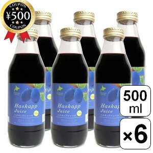 yr[500~offN[|z oCIAO nXJbvW[X 500ml×6{Zbg kCY nXJbv ʕ ʏ` t[c W[X hN Xg[g Z AgVAj