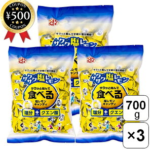 [yV1/]  Hׂ鉖LfB 700g×3܃Zbg LfB N`LfB   ⋋ ƖpTCY e MǑ΍