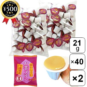 yr[500~offN[|z xmHi v 21g×40×2܃Zbg ׂɂ͂邩 v  Cxg Ɩp TCY e 퉷ۑ\