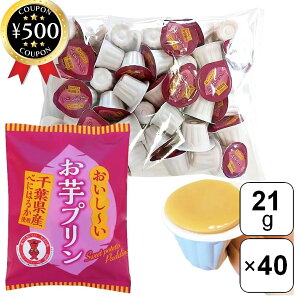 yr[500~offN[|z xmHi v 21g×40Zbg ׂɂ͂邩 ܂  Cxg Ɩp TCY e 퉷ۑ\