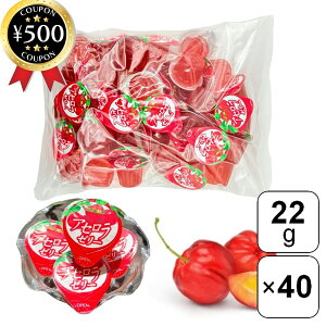 【レビュー書いて500円offクーポン】 富士正食品 アセロラゼリーFe 22g×40個セット アセロラ ゼリー おやつ デザート イベント 業務用 一口サイズ 大容量 栄養補給