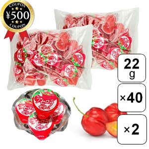 【レビュー書いて500円offクーポン】 富士正食品アセロラゼリーFe 22g×40個×2袋セット アセロラ ゼリー おやつ デザート イベント 業務用 一口サイズ 大容量 栄養補給