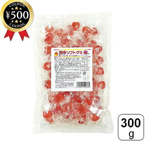 yr[500~offN[|z ԏt[Y VHIM\tgO~~ 300g ~  O~ \tgO~   ⋋ NG_ JE MǑ΍ ₩