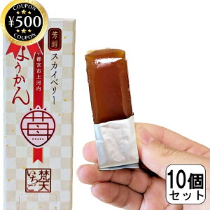 yr[500~offN[|z RX FXJCx[悤 10Zbg r  XJCx[ aَq  fU[g  yY  퉷ۑ ܂Ƃߔ