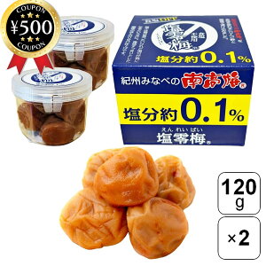 yr[500~offN[|z a̎R_Ƌg ~ 120g×2Zbg Y a̎RY IB ~ n 썂~ Ì т̂ aH ɂ Hsgp 