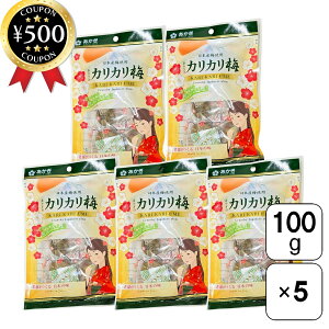 [r[e500~OFFN[|i撆]  JJ~ {Y ~gp 100g×5܃Zbg JJ~ ~  Y QnY  ~  MǑ΍ F ԏt[Y