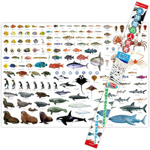 魚 ポスター おもちゃの人気商品 通販 価格比較 価格 Com 魚 ポスター おもちゃの人気商品 通販 価格比較 価格 Com
