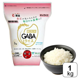 yr[500~offN[|z H GABACX 1kg Y Y 邿    GABA T|[g N @\\Hi NH ~